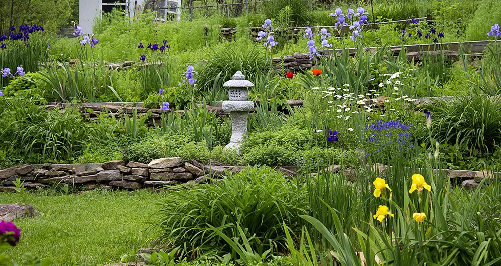 The lower gardens