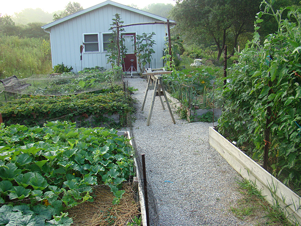 The studio vegetable gardens