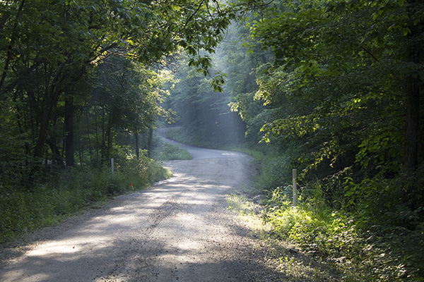 Our road in summer