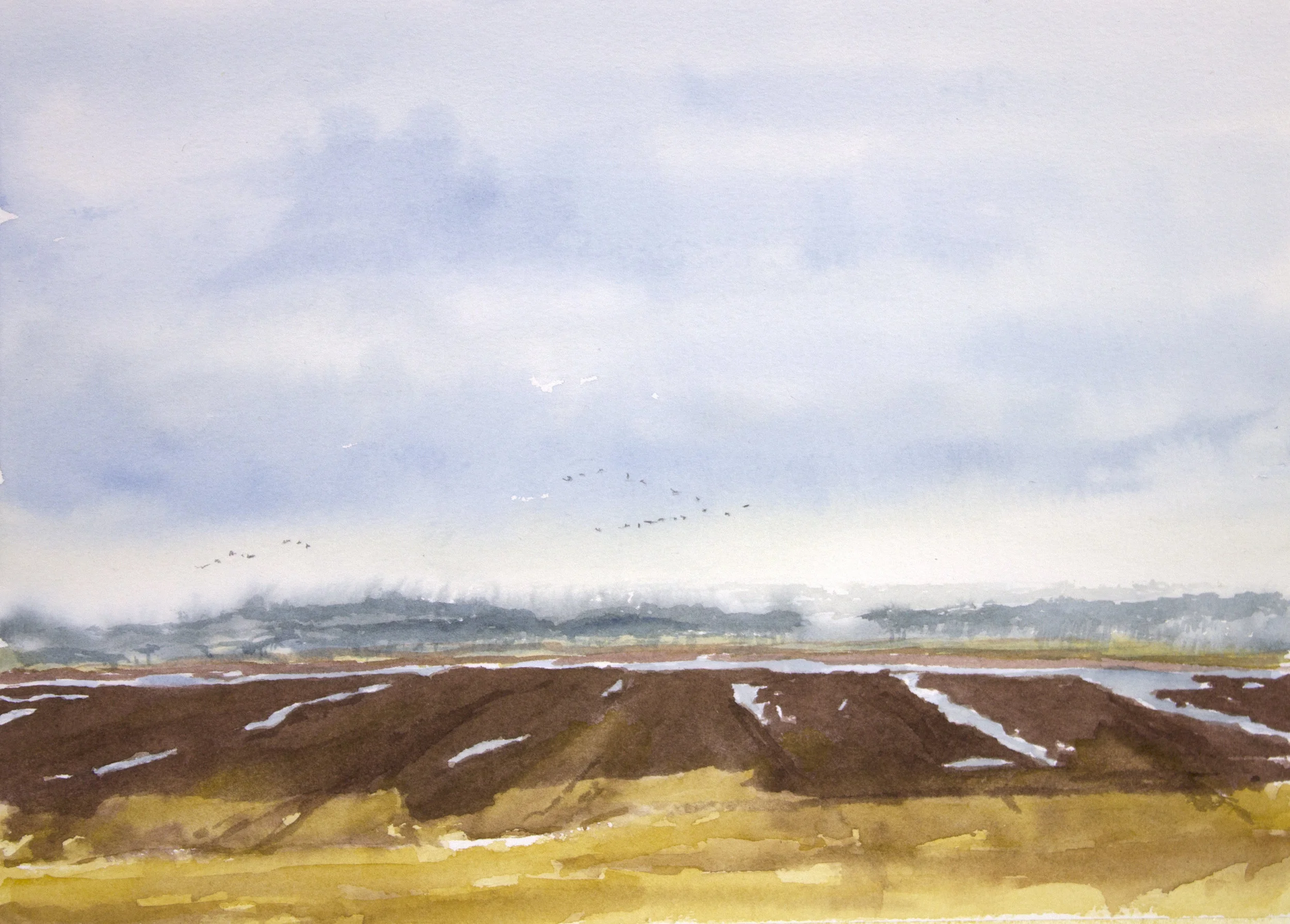 Goose Pond, January, Rain Coming