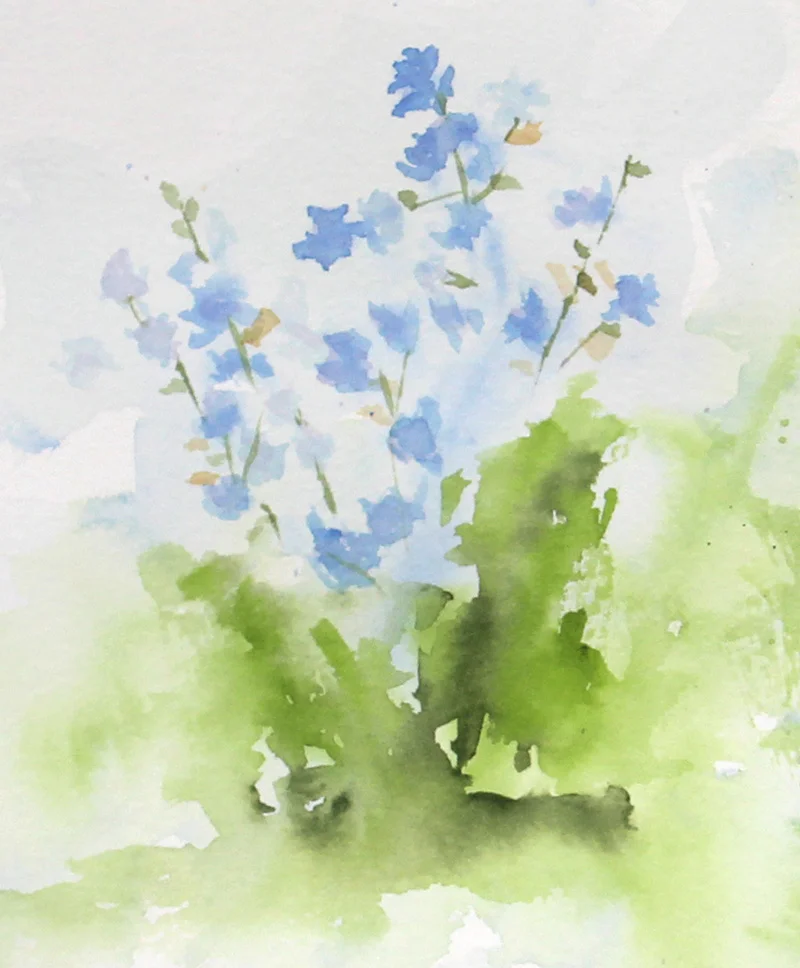 SOLD Chicory 1