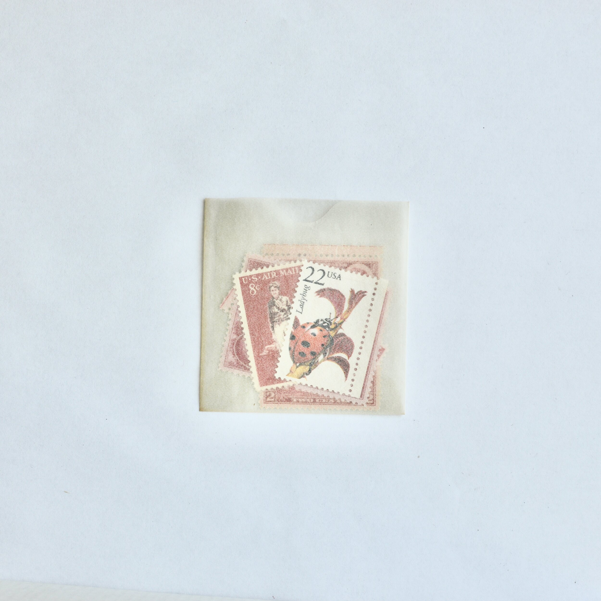 DSC_0319.jpeg