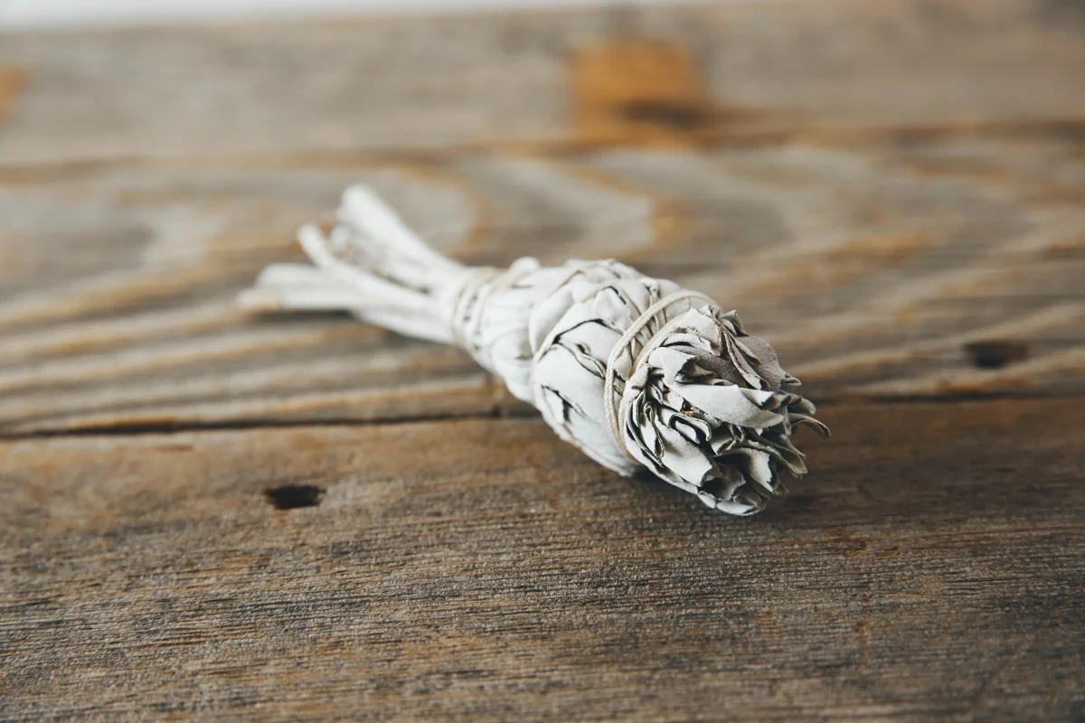 Wild White Sage Bundle