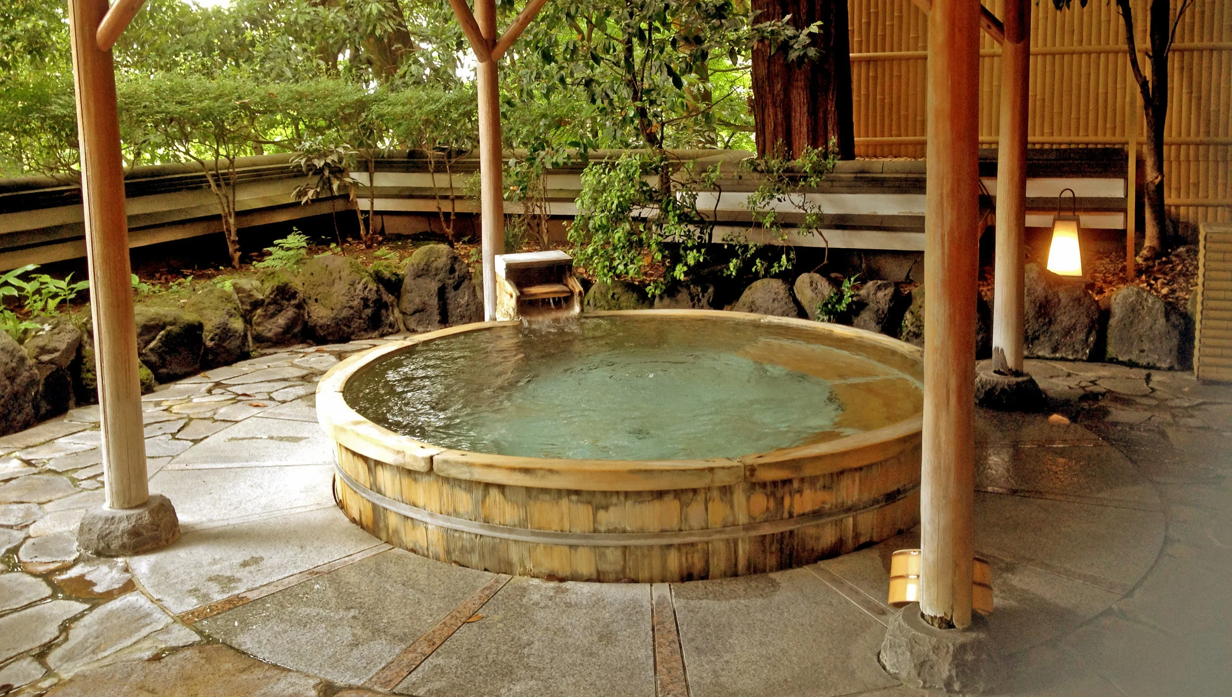 Hot Springs in Hakone