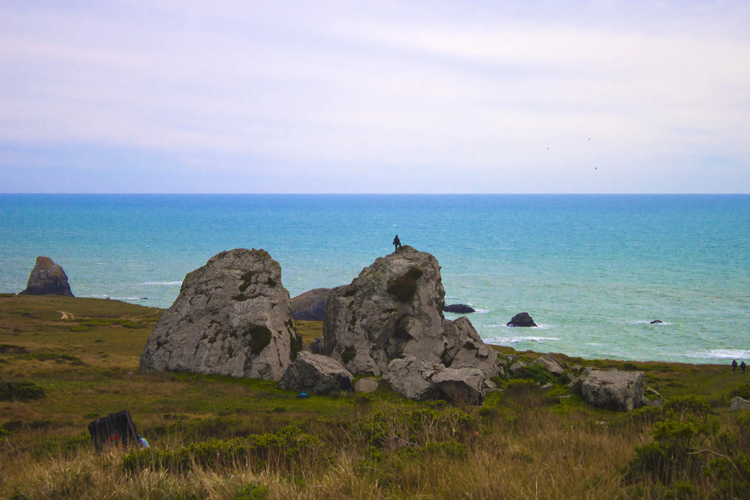 Looking Back at 2015