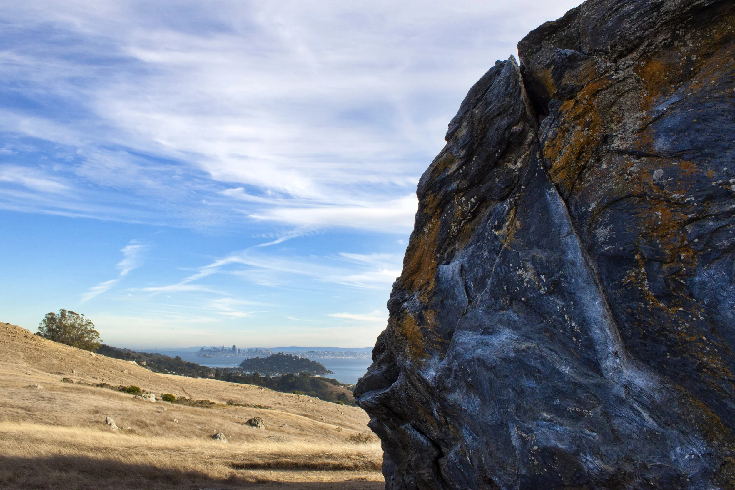 New Year, New Goals.