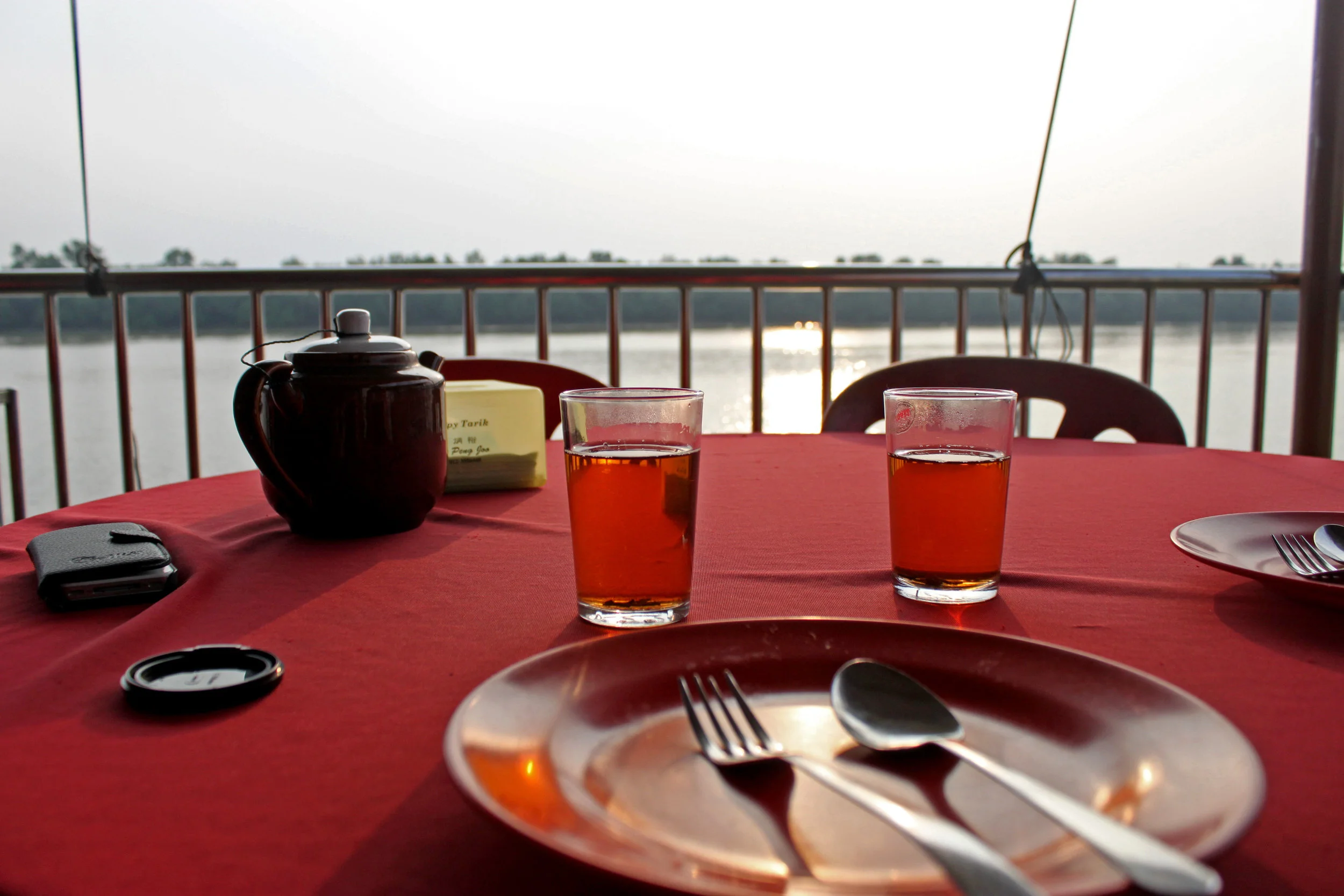 Monkey Feeding and Firefly Watching in Malaysia