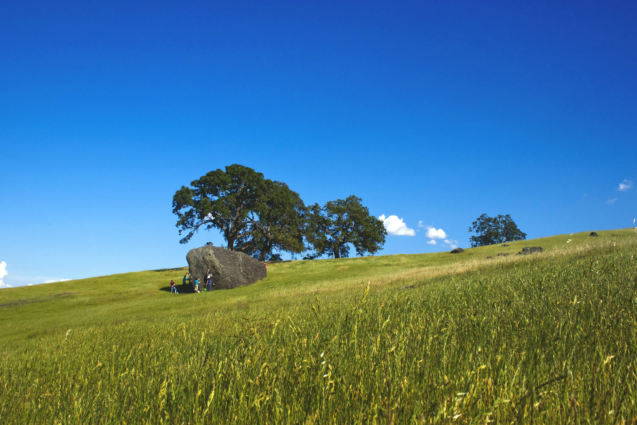 Climbing With Rattlesnakes and Alpacas