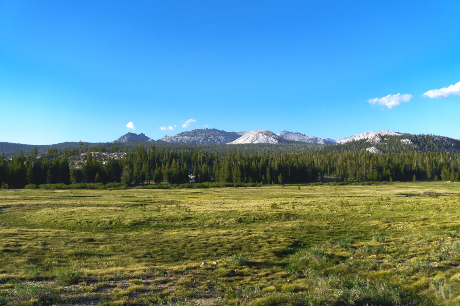 DSC01665-1600.jpg