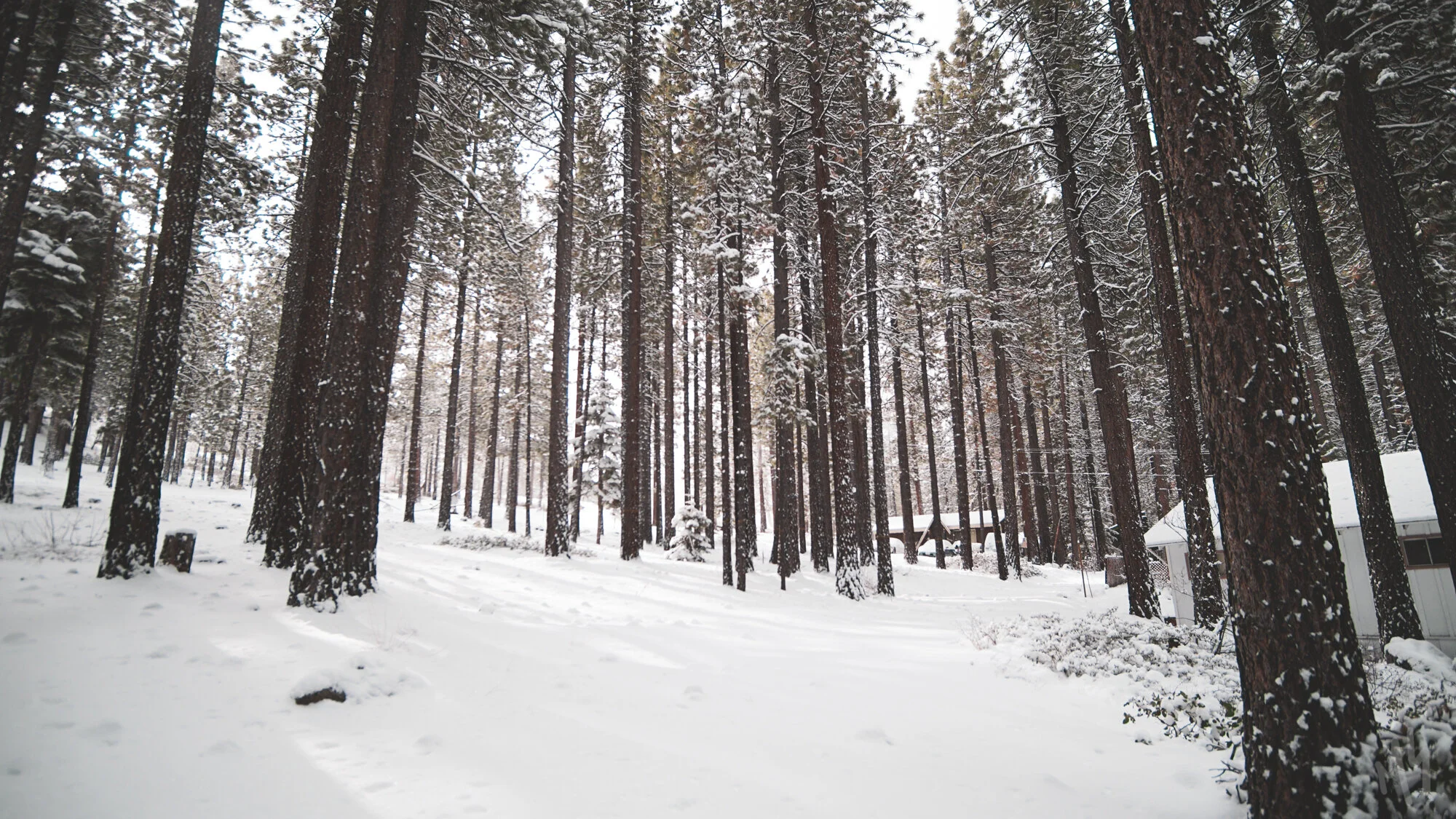 24 Hours in Lake Tahoe