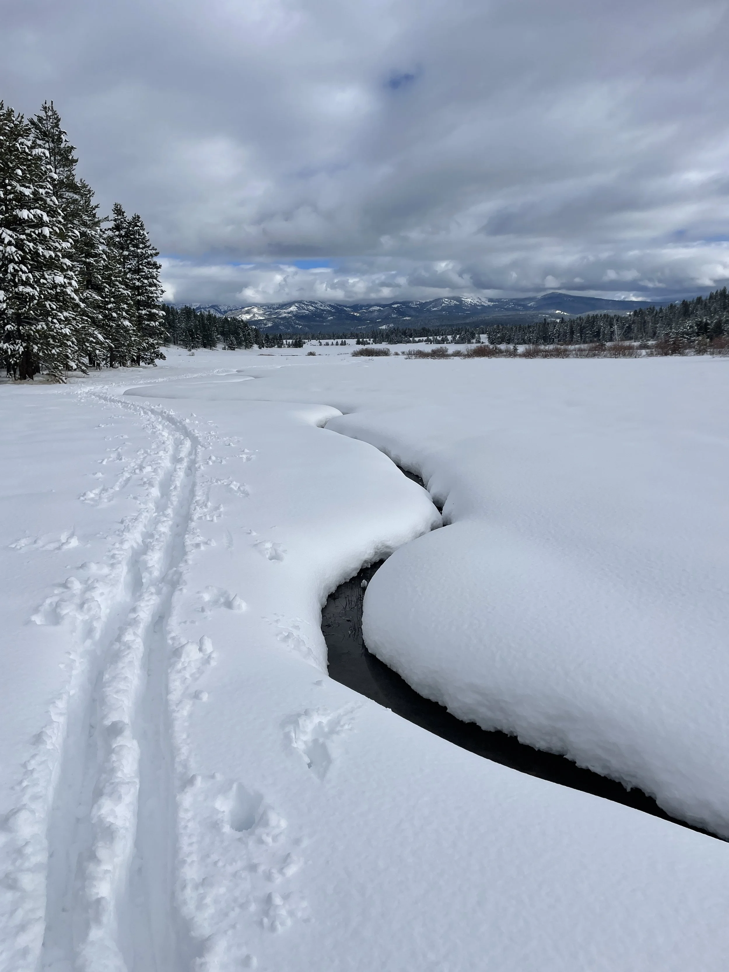 Hygge Yoga for Winter Solstice