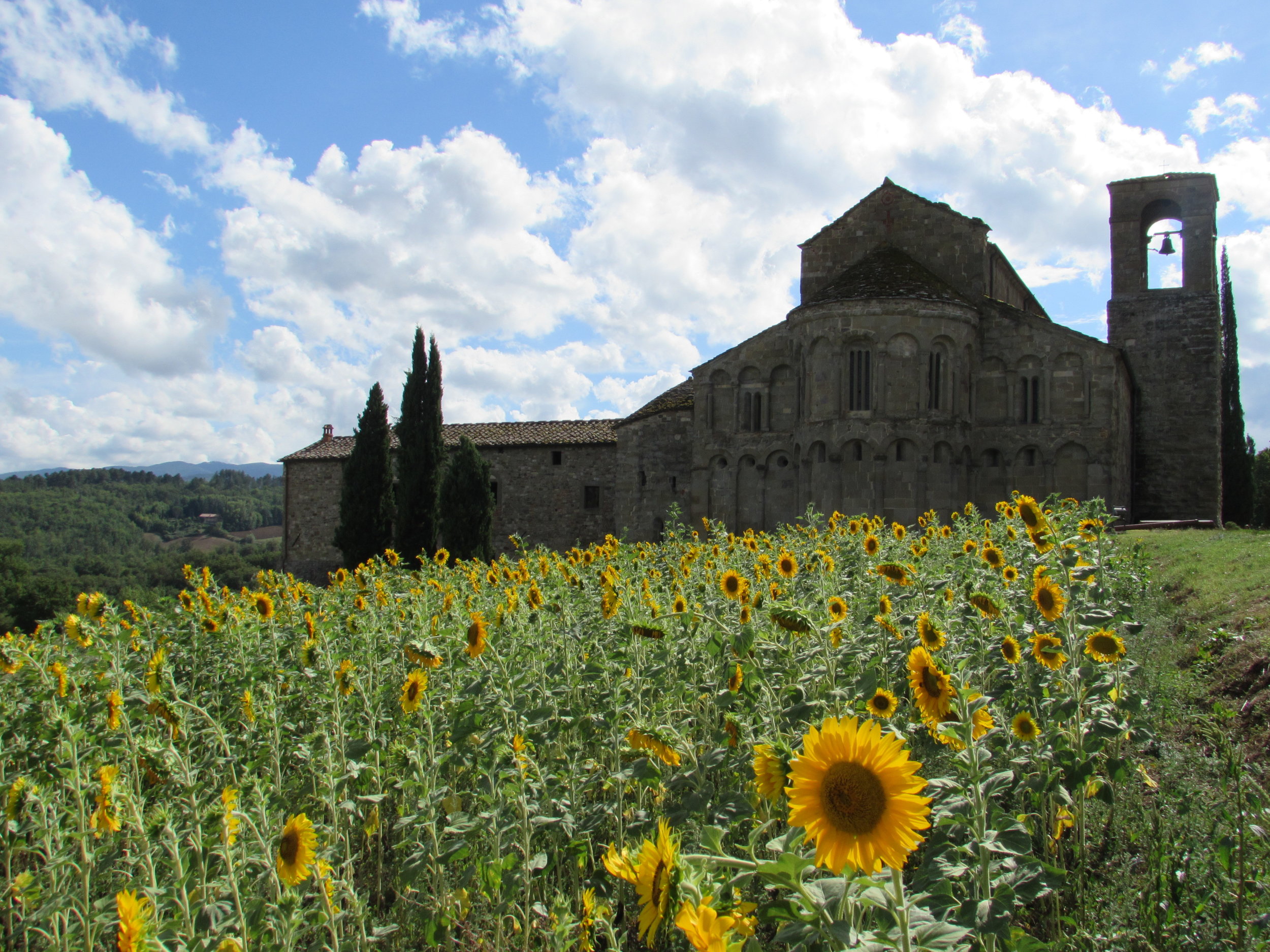 romena church.JPG