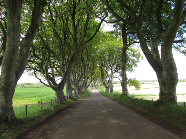 Six "Game of Thrones" Sites in Northern Ireland