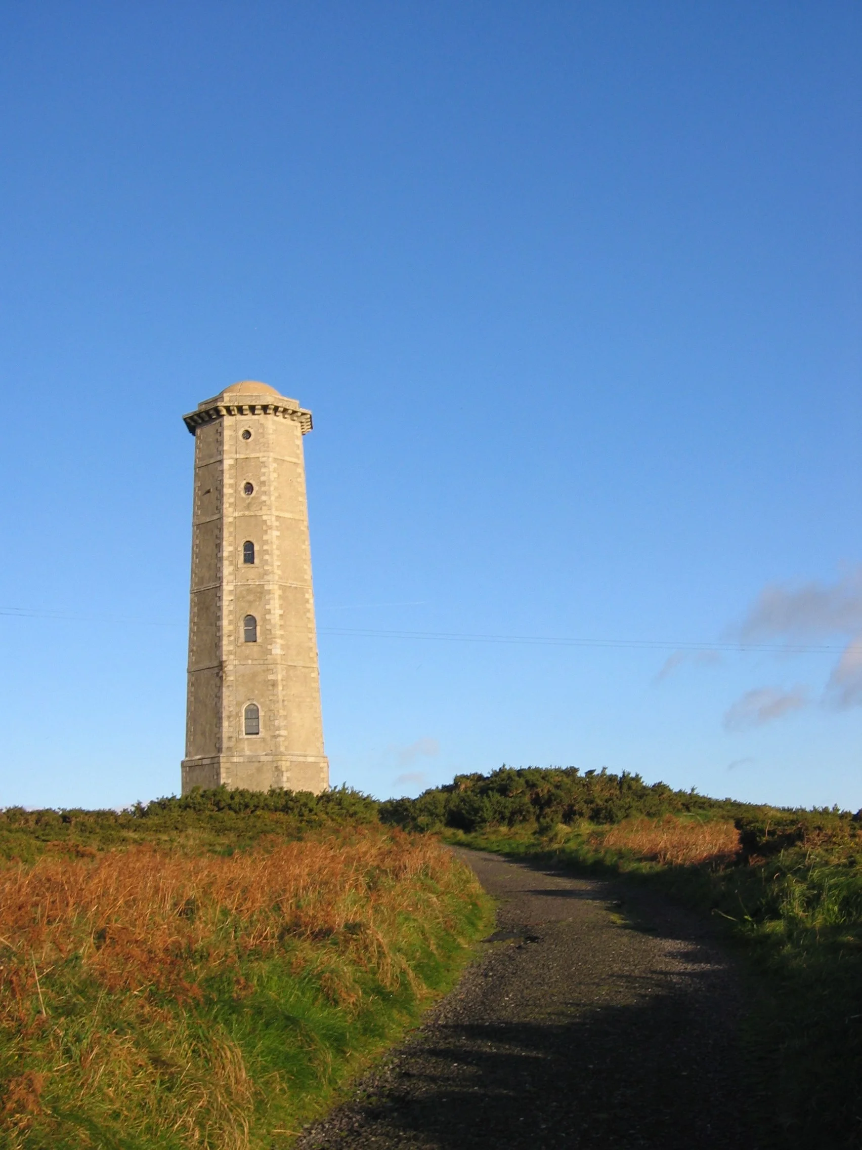 Wicklow 1.jpg