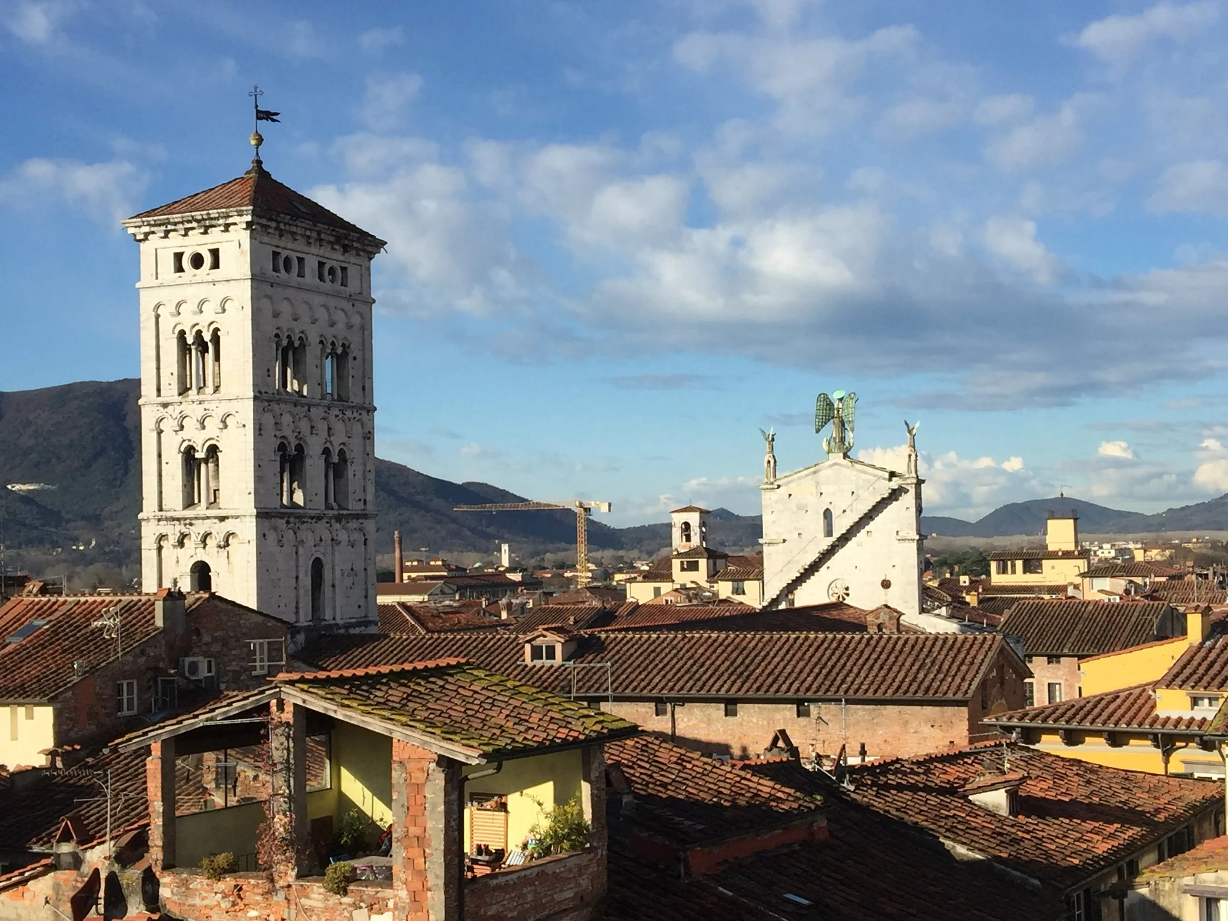view from tower 2.jpg