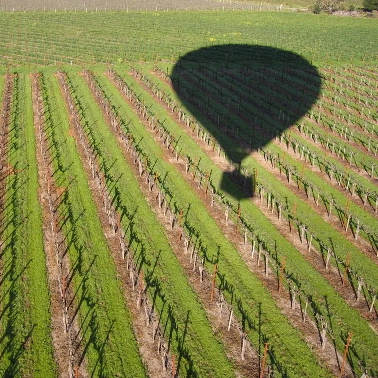 Valentine's Day - Romantic Disasters