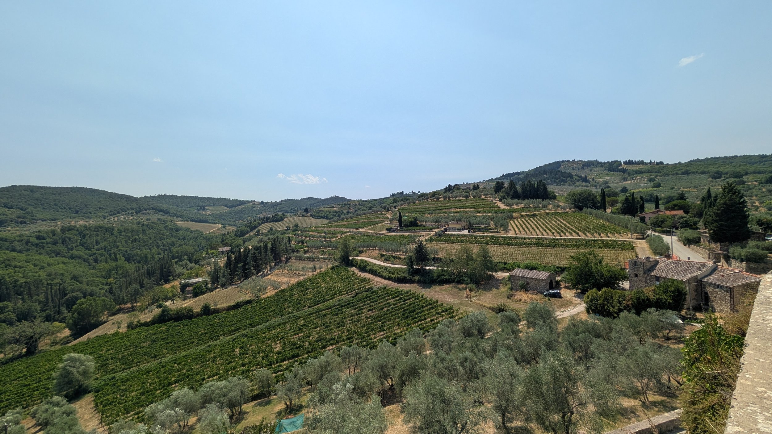 Little Roads Chianti winery vineyard landscape.jpg