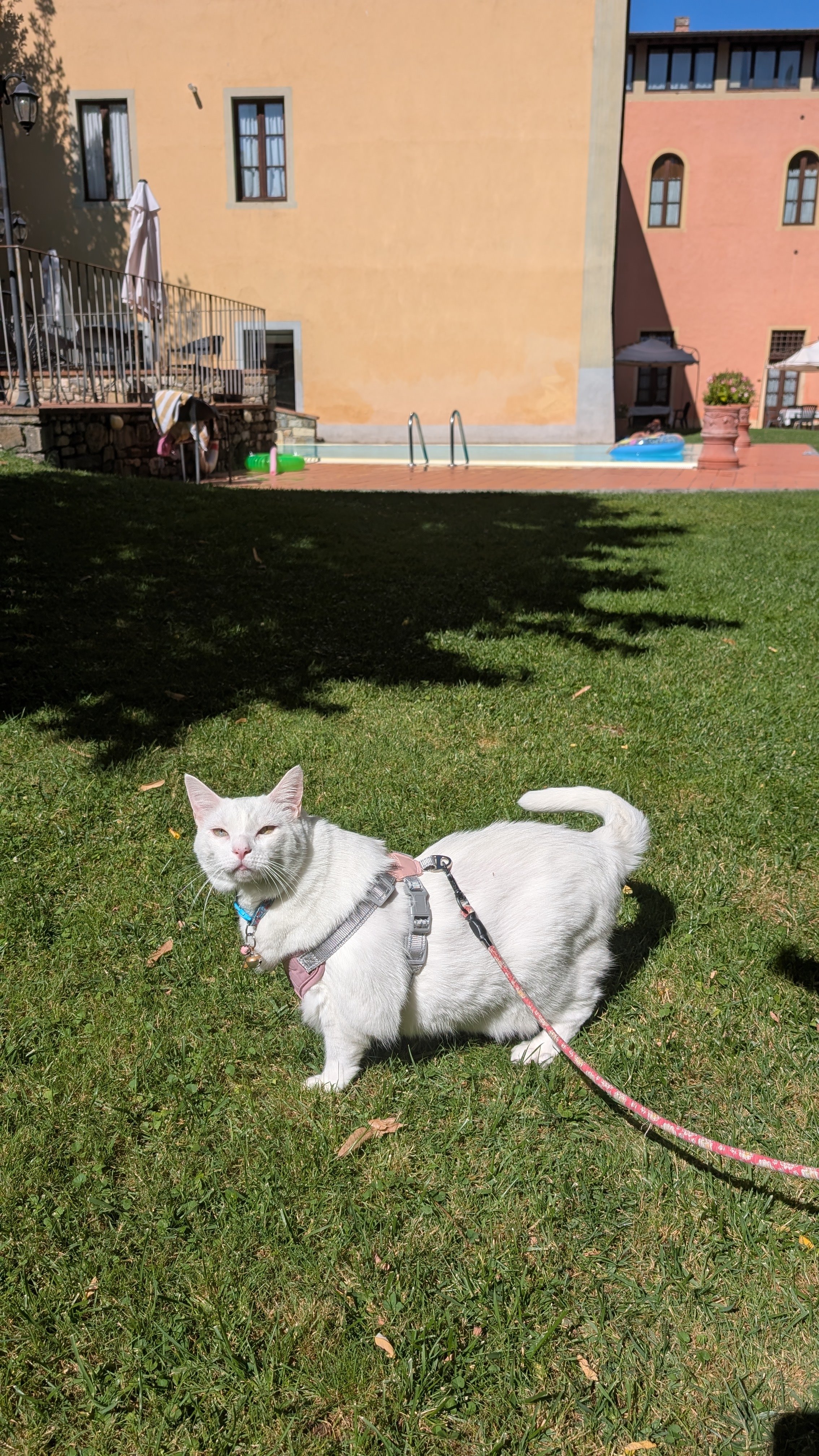 Little Roads Chianti Hoover in the garden poolside.jpg