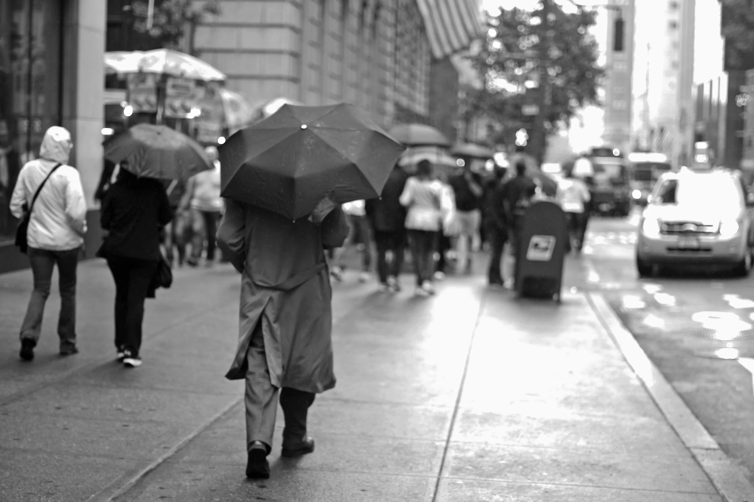 umbrella1.jpg