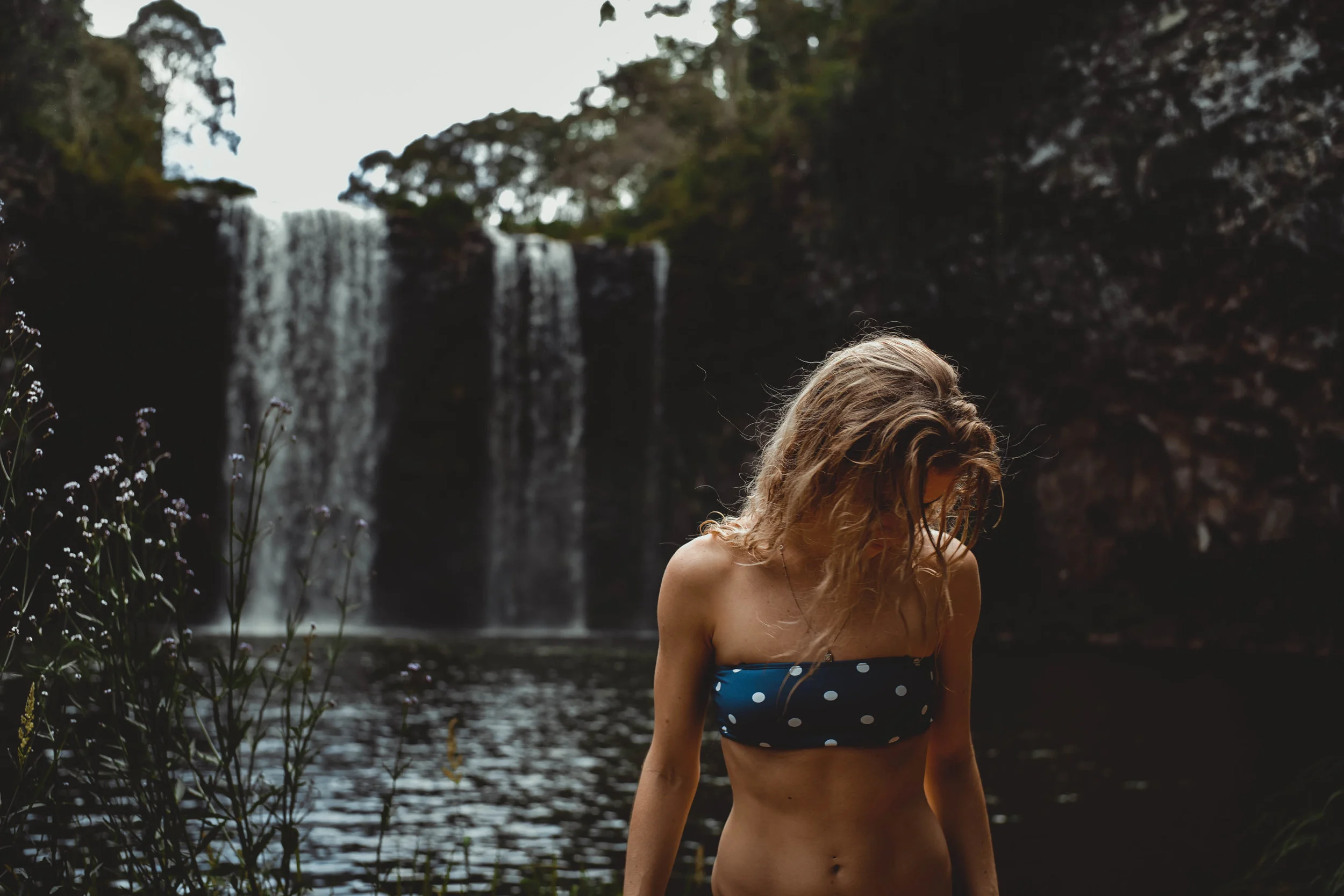 untitled-00265.jpg