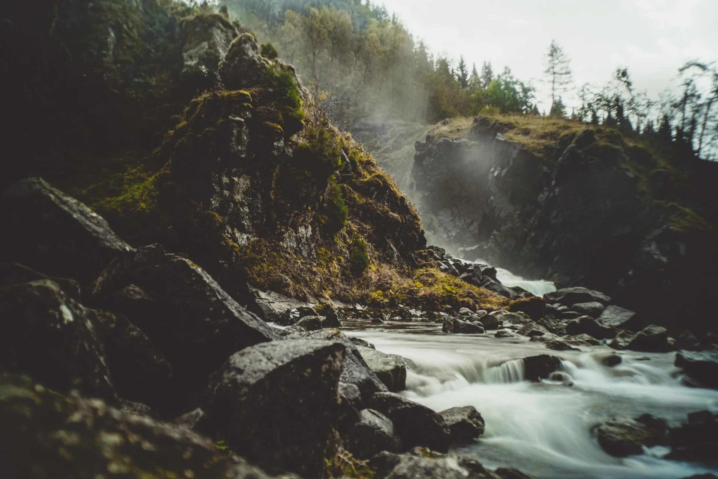 untitled-01881.jpg