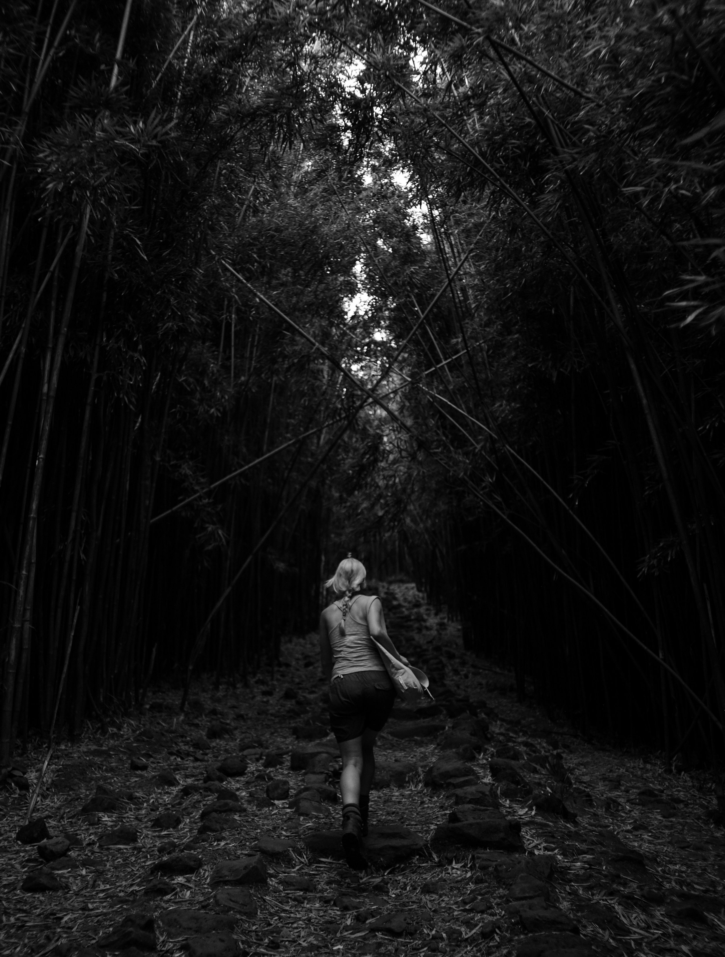 bamboo- taller nat height-2.jpg