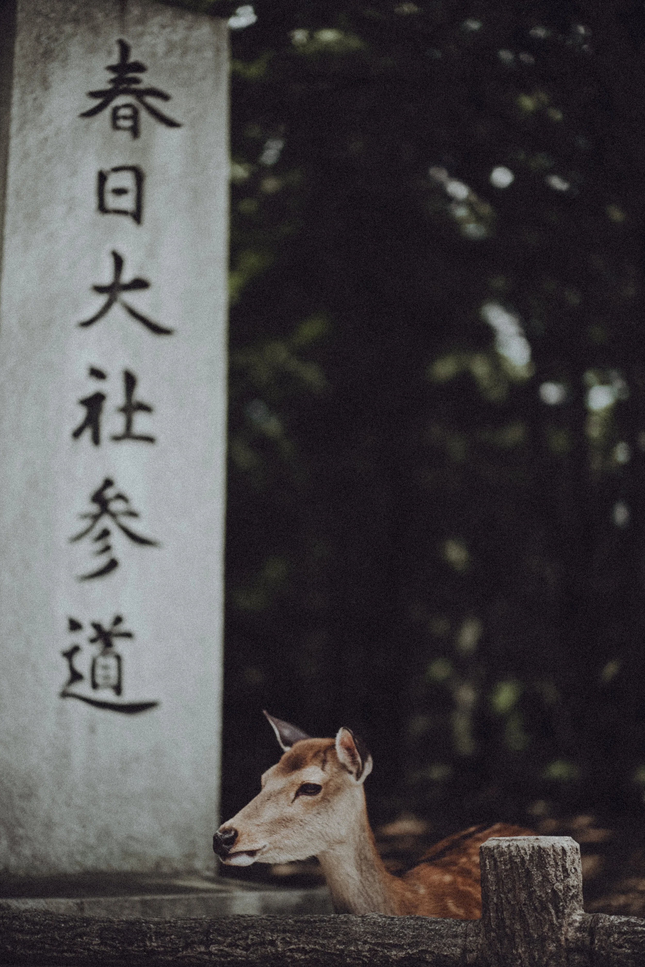 Tong_edited-02990.jpg