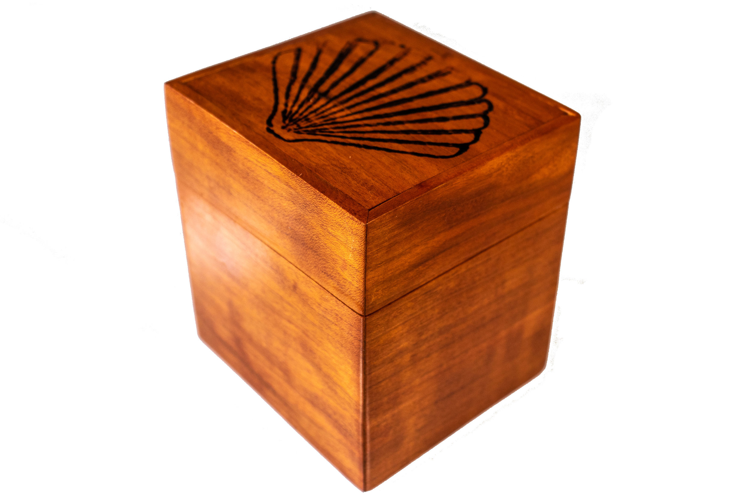 boxes-20-21-4.jpg
