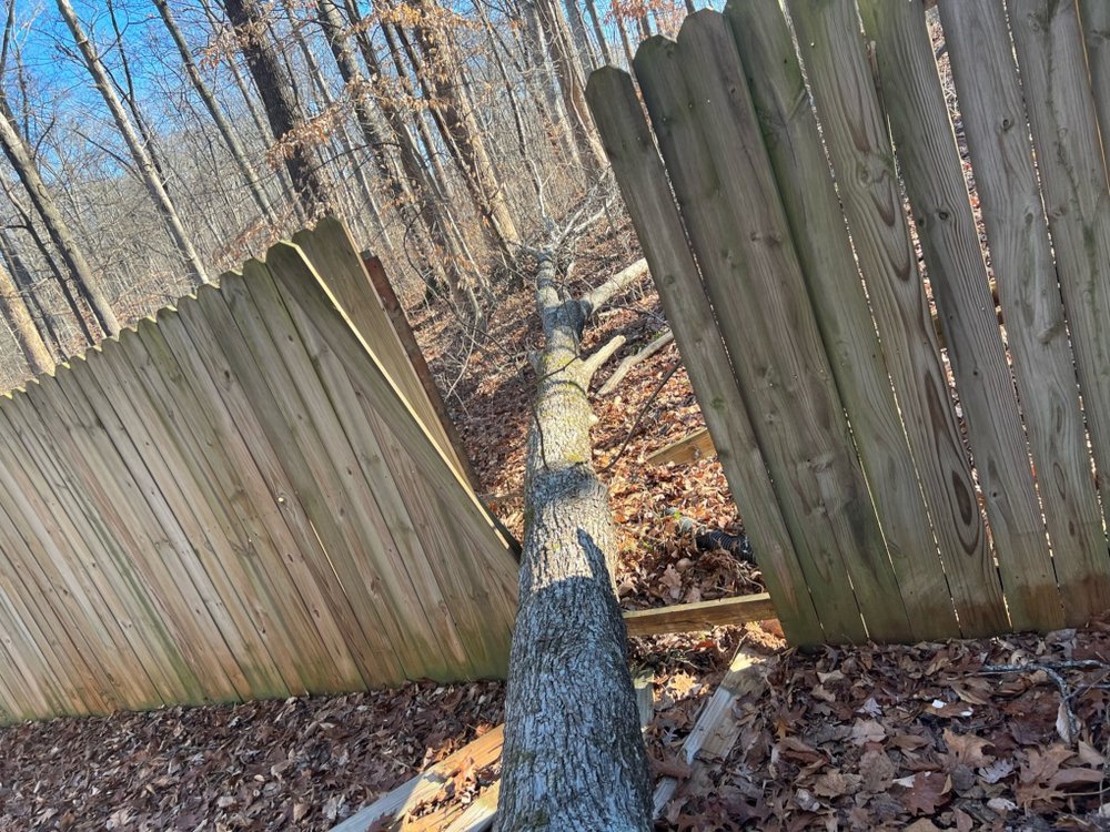 fence damaged by tree.jpeg