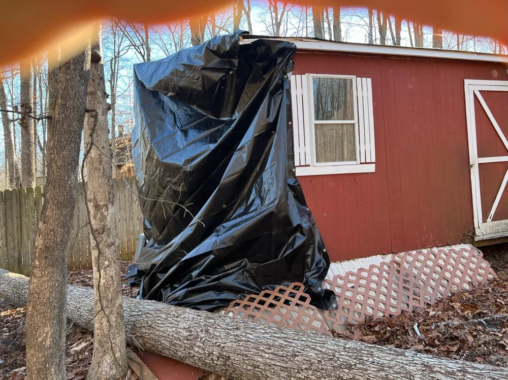 Plastic on Shop.jpeg