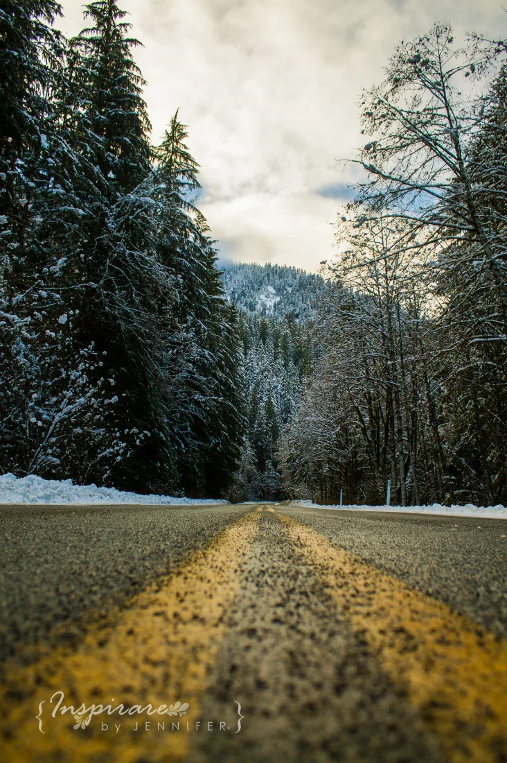 Snow-Watermark-732x1100-1011.jpg