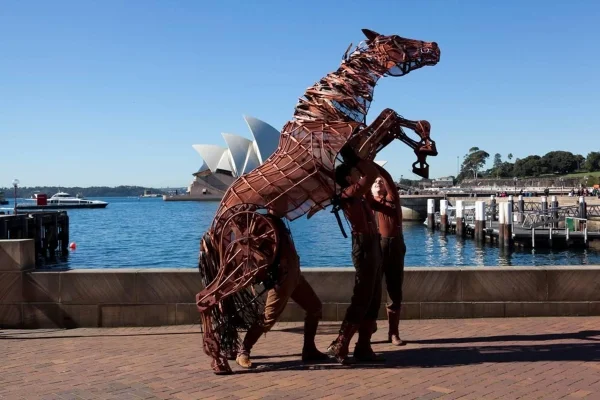 tn-500_joeythehorseinsydney,australia.photocreditglobalcreatures.jpg