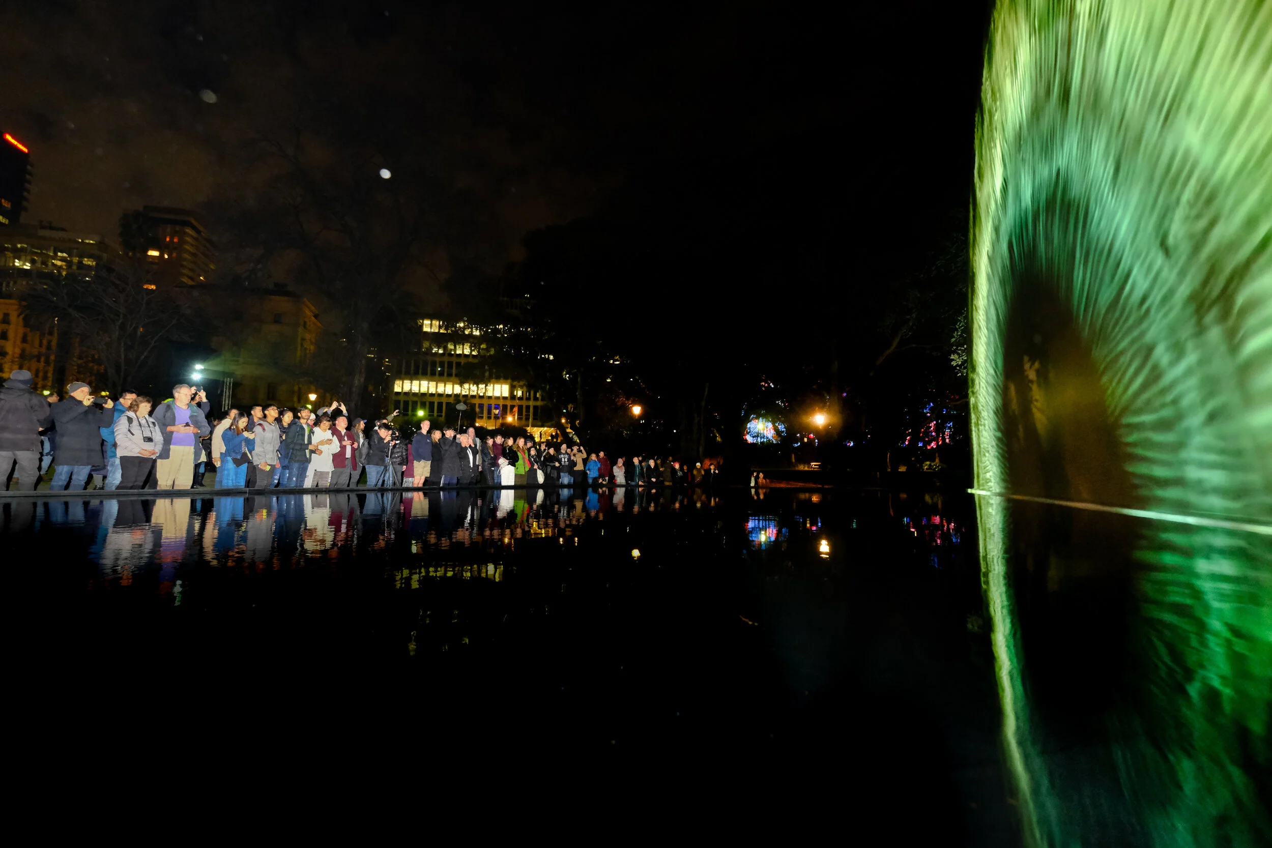 WHITE NIGHT REIMAGINED 2019 - CROWDS AT IRIS.jpg