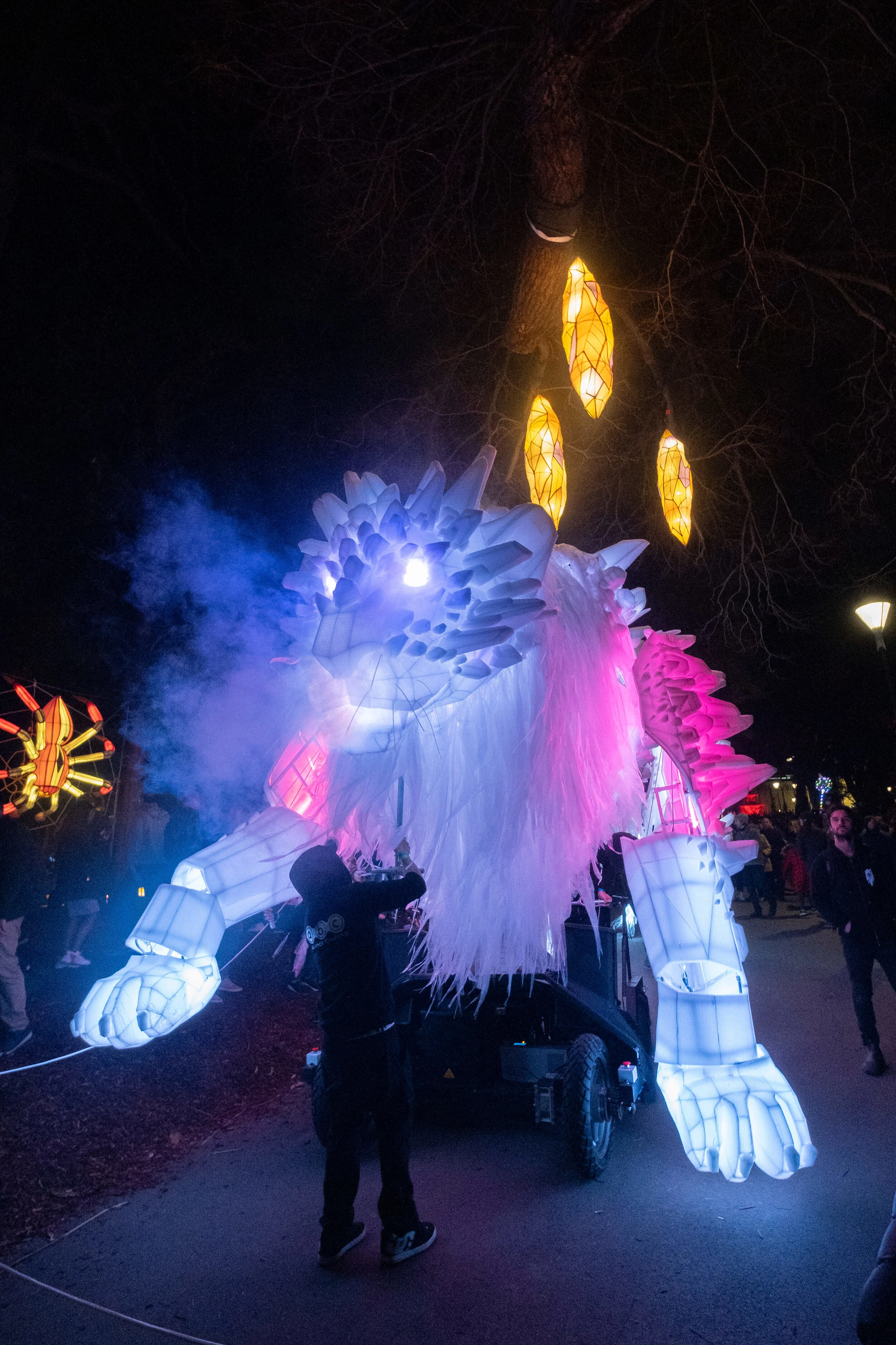 WHITE NIGHT REIMAGINED 2019 - GUARDIAN 6.jpg