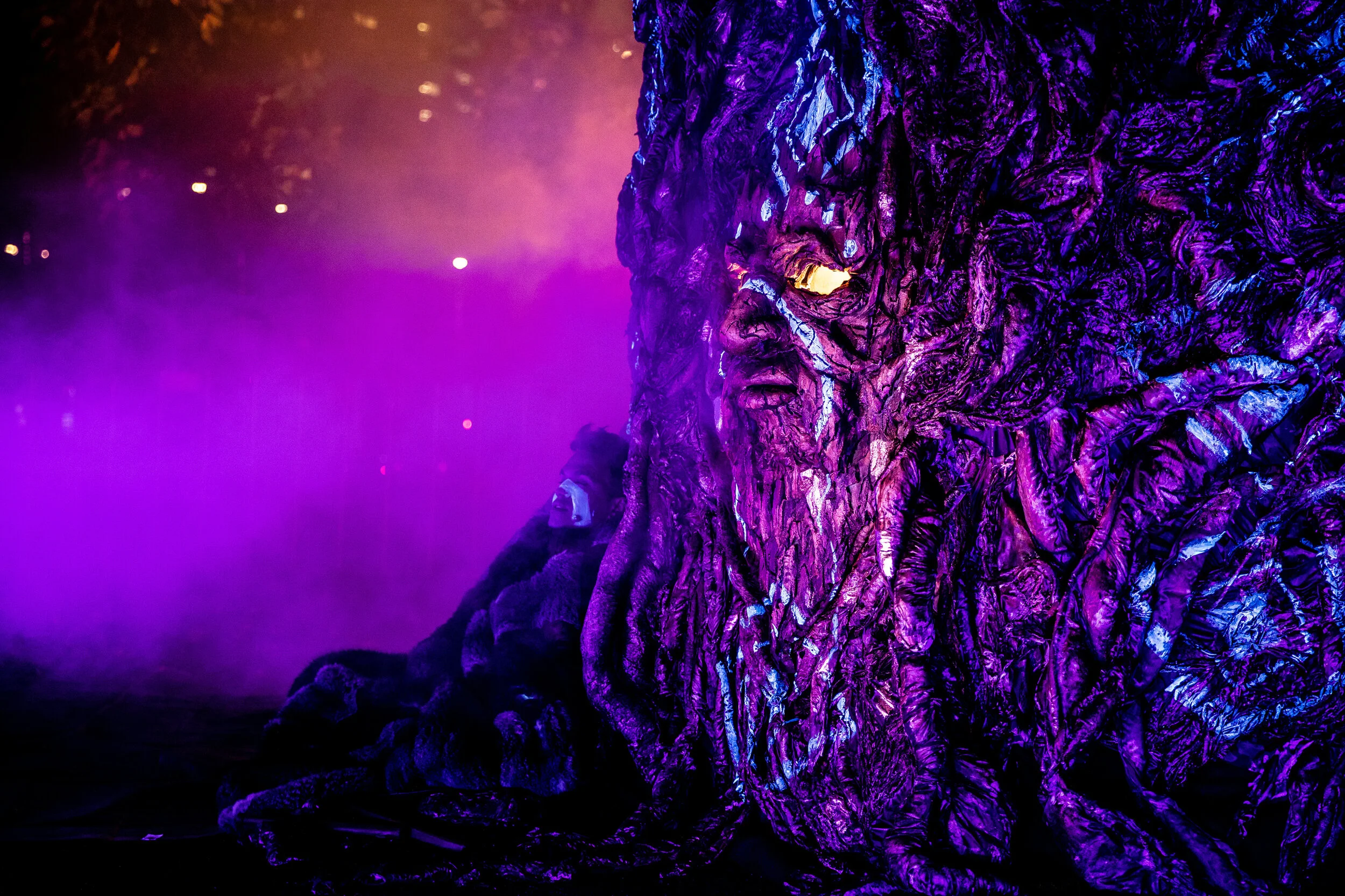 WHITE NIGHT REIMAGINED 2019 - STORY TREE.jpg