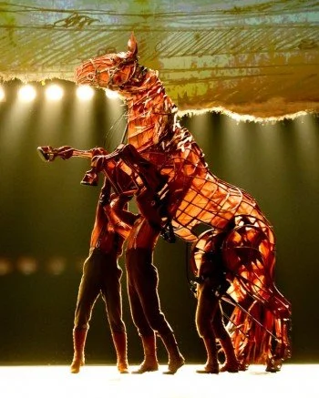 War-Horse-Photographer-David-Wyatt-2725a-350x437.jpg