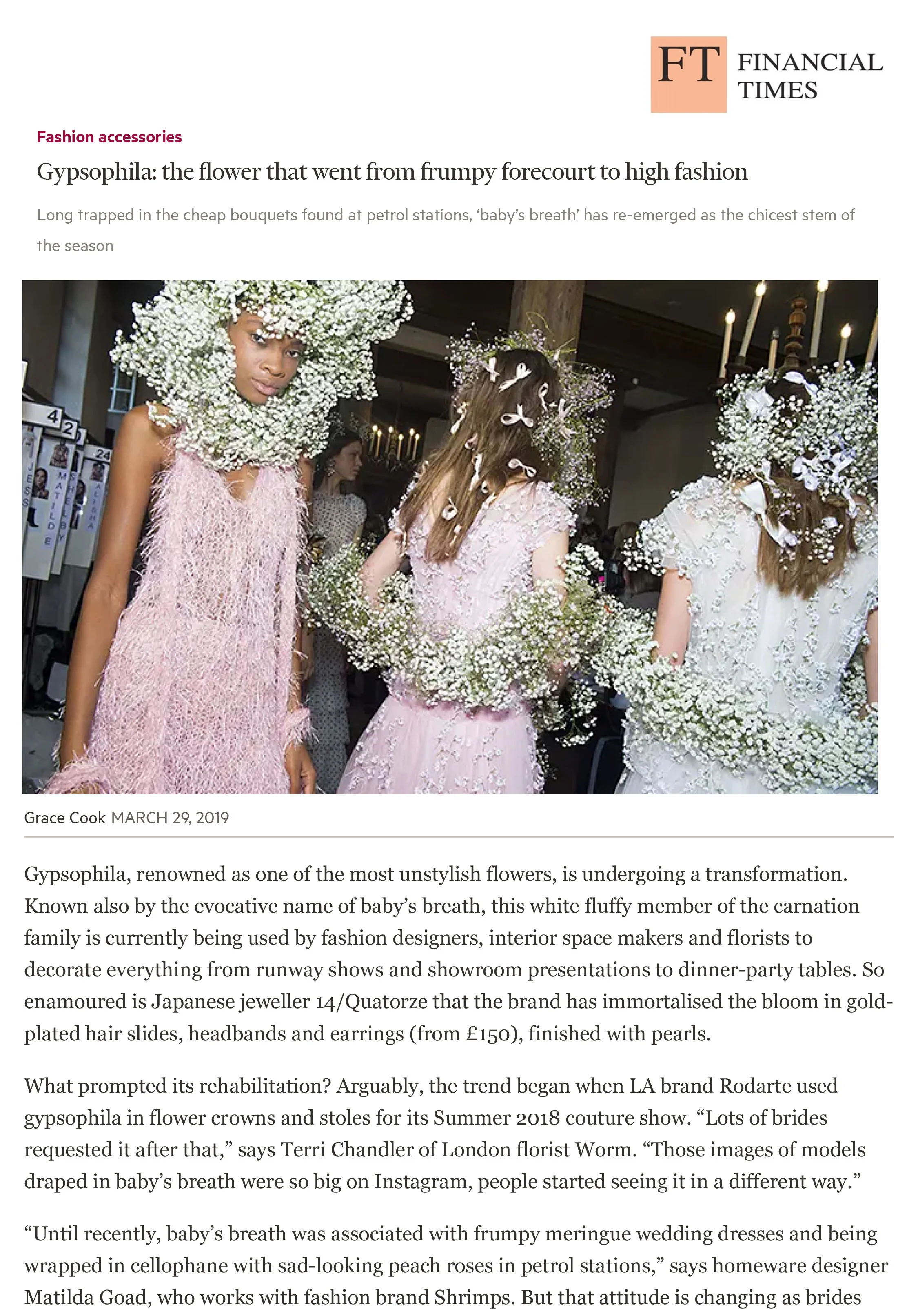 The flower that went from frumpy forecourt to high fashion | FT