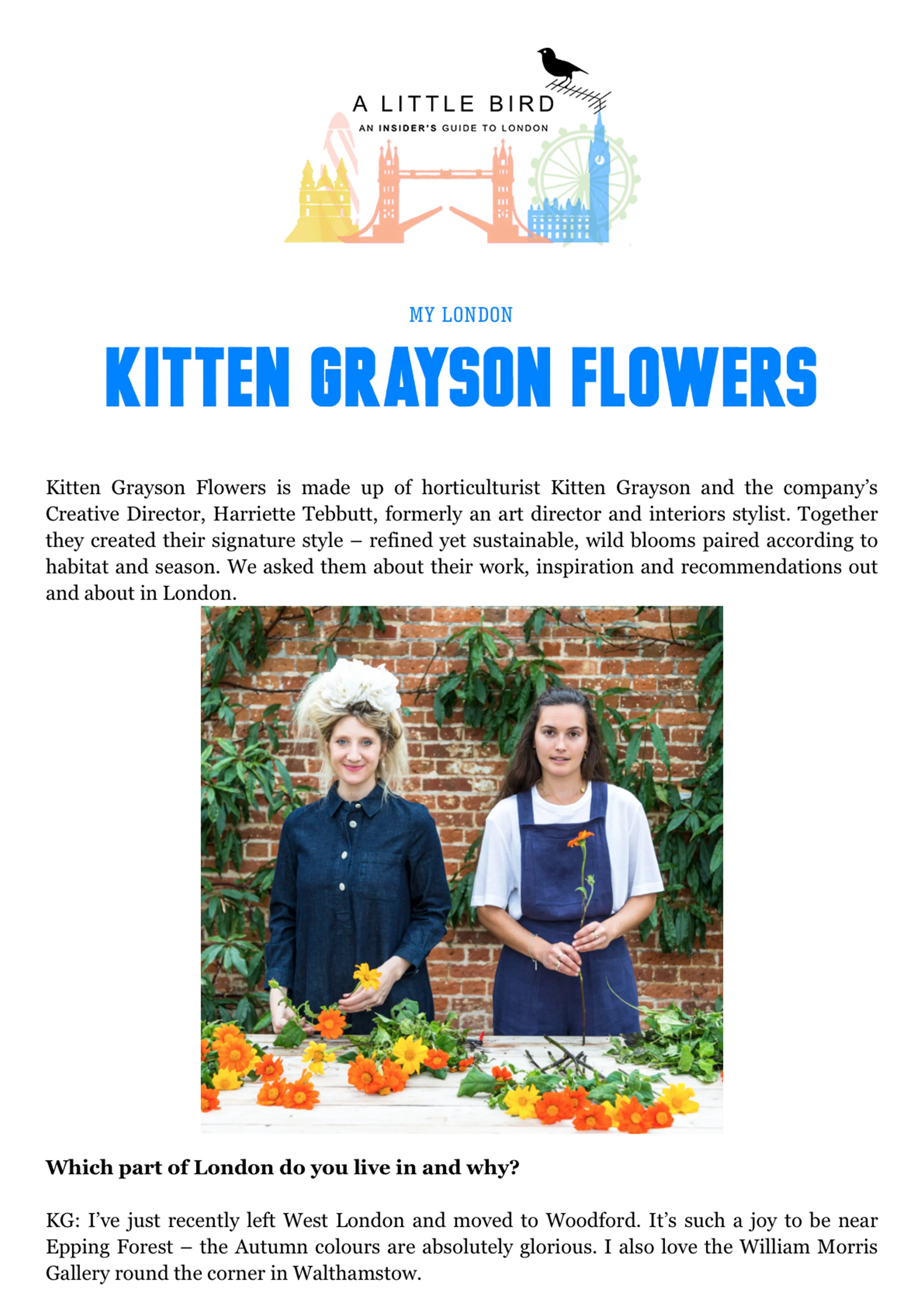 Kitten Grayson Flowers | A LITTLE BIRD