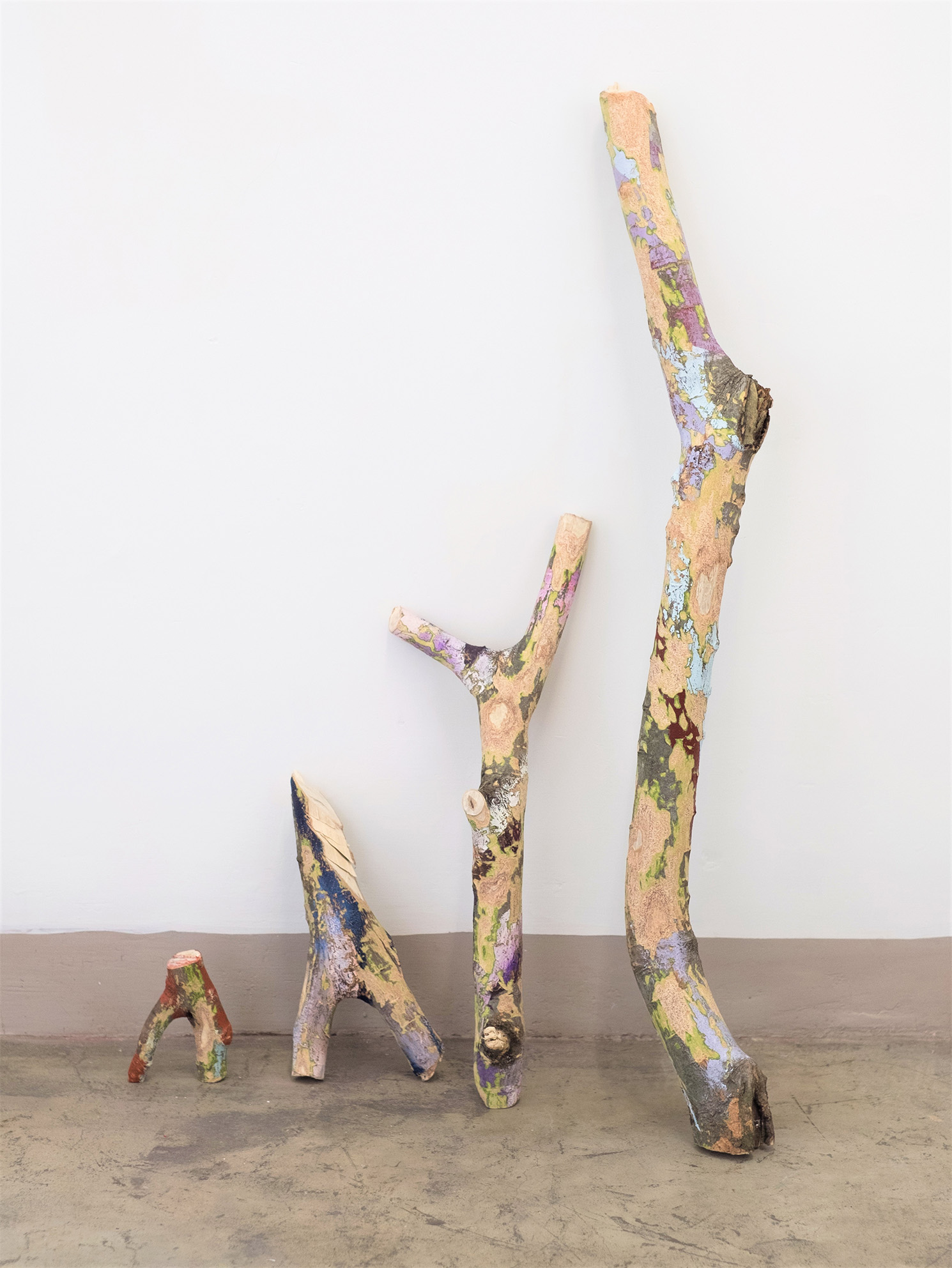  New Skin  Acrylic on wood branches  dimensions variable  2015 