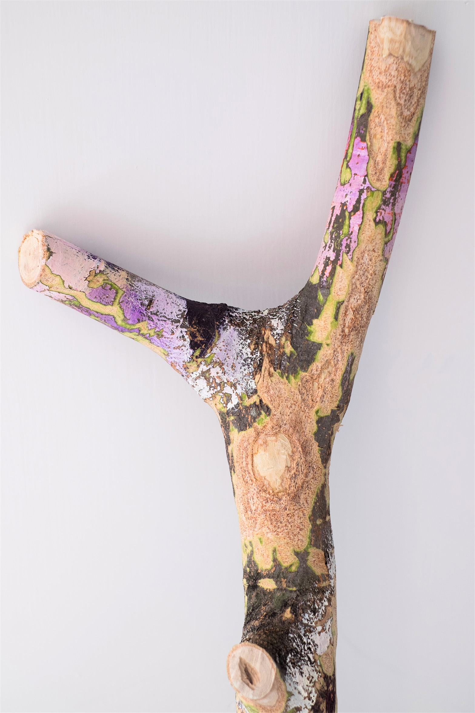  New Skin  acrylic on wood branches  dimensions variable  2015 