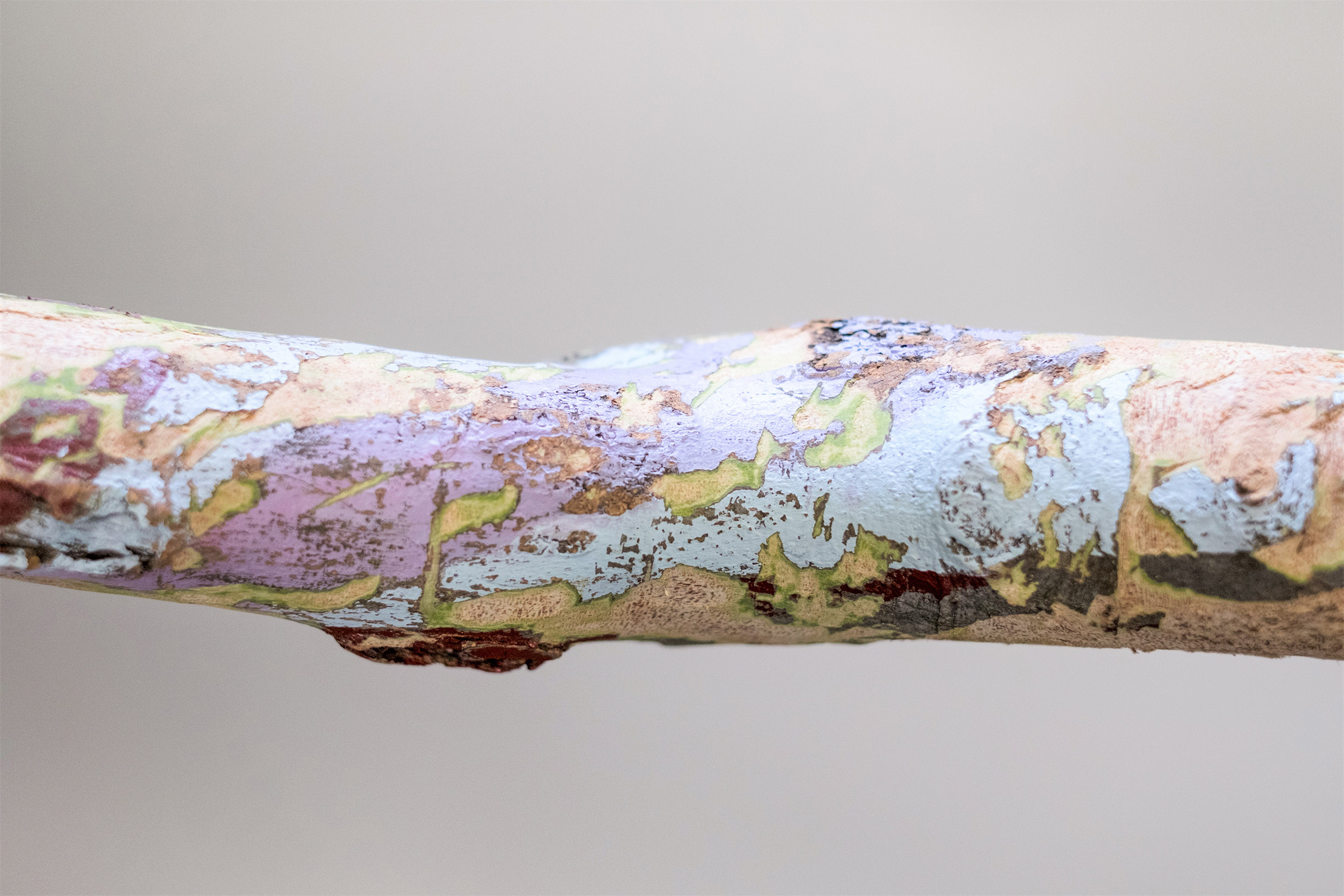  New Skin   acrylic on wood branches   dimensions variable  2015 