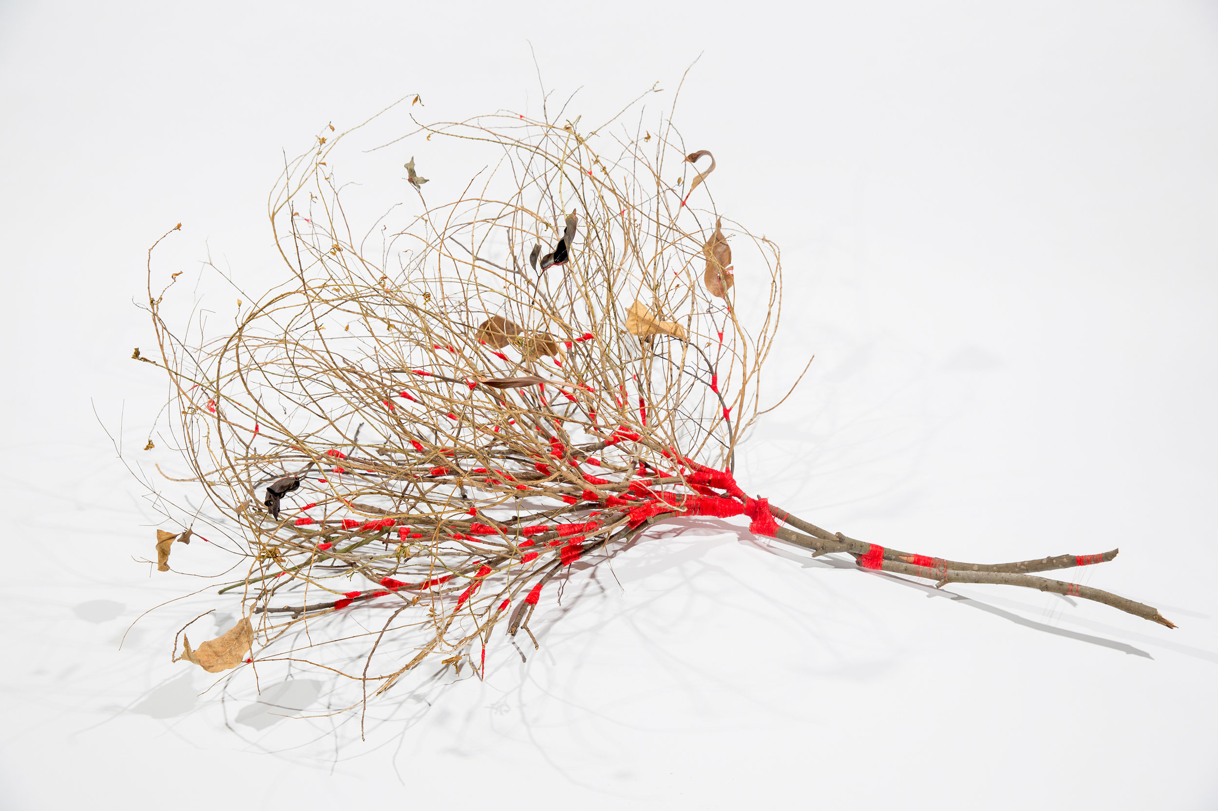  Untitled  Twigs, leaves, hair, red thread, red tape  Dimensions variable  2016-2017 