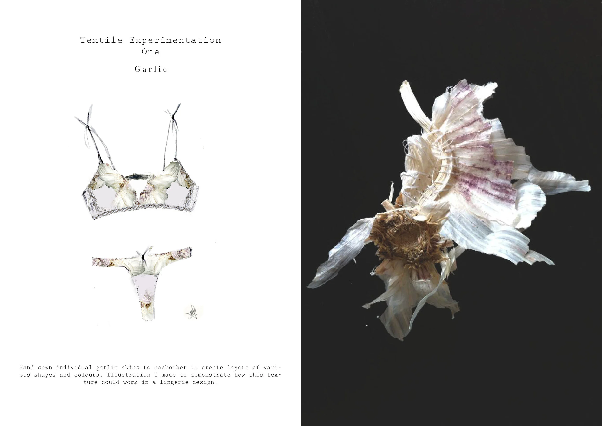 illustrations & textiles by Rachelle Cunningham.