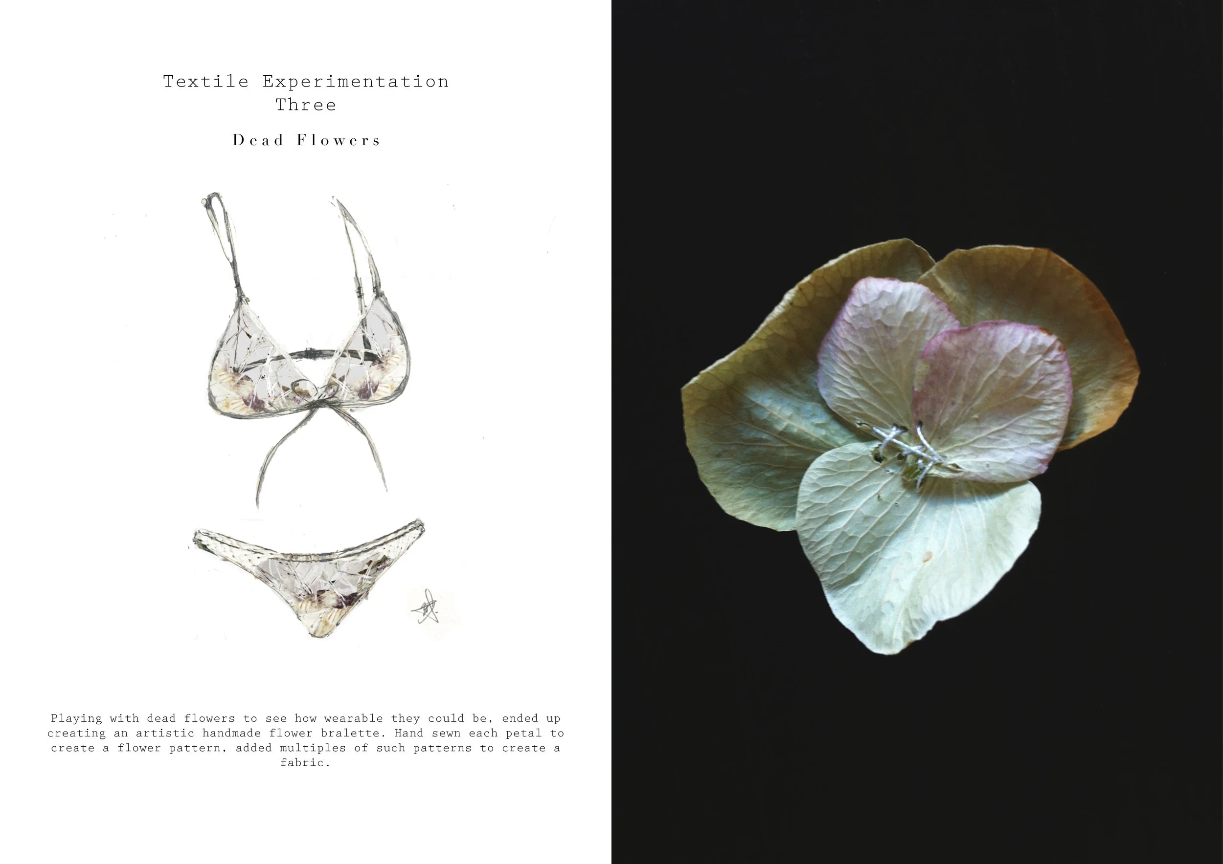 illustration & textiles by Rachelle Cunningham.