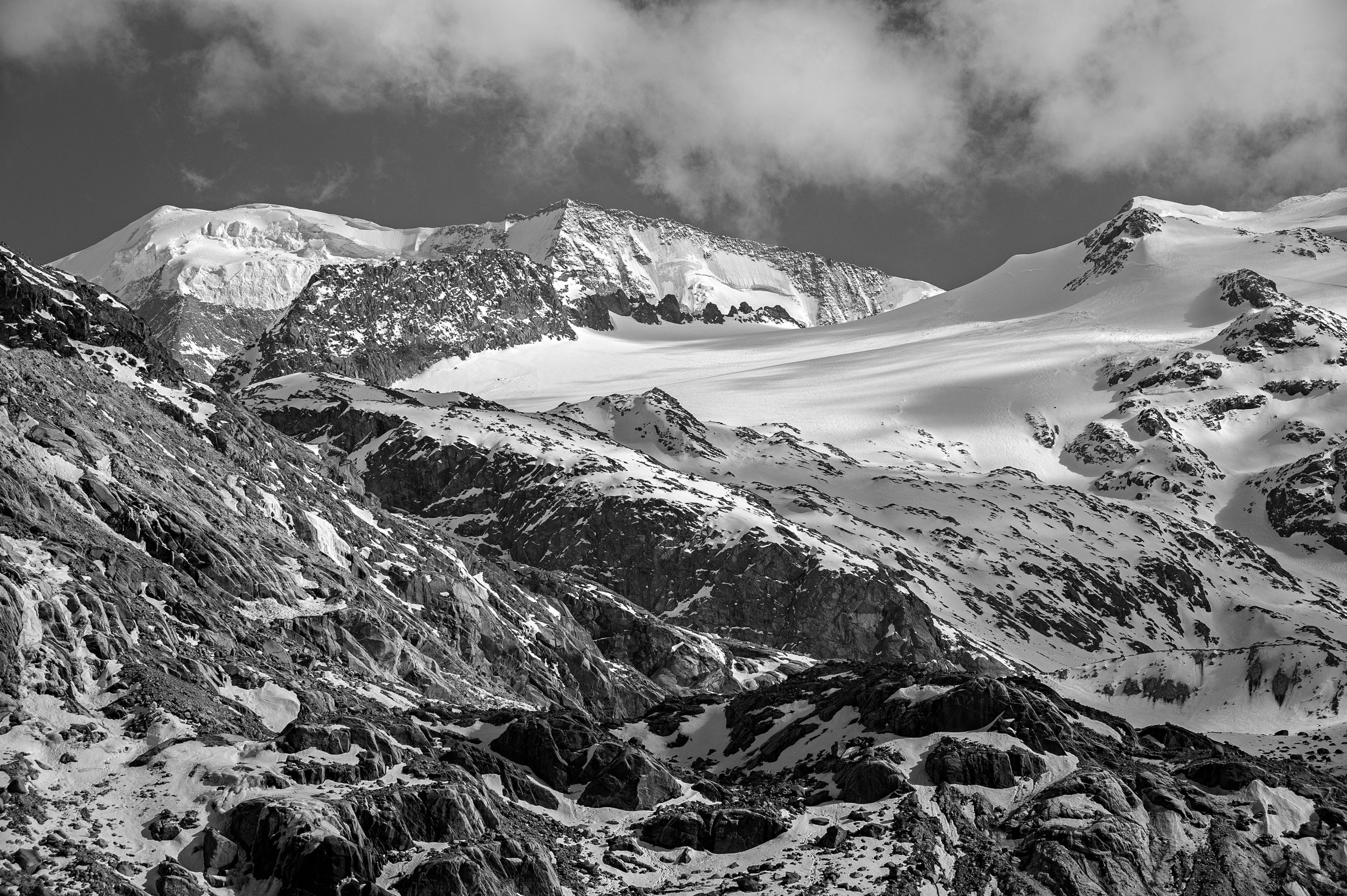 _DSC2810 web.jpg