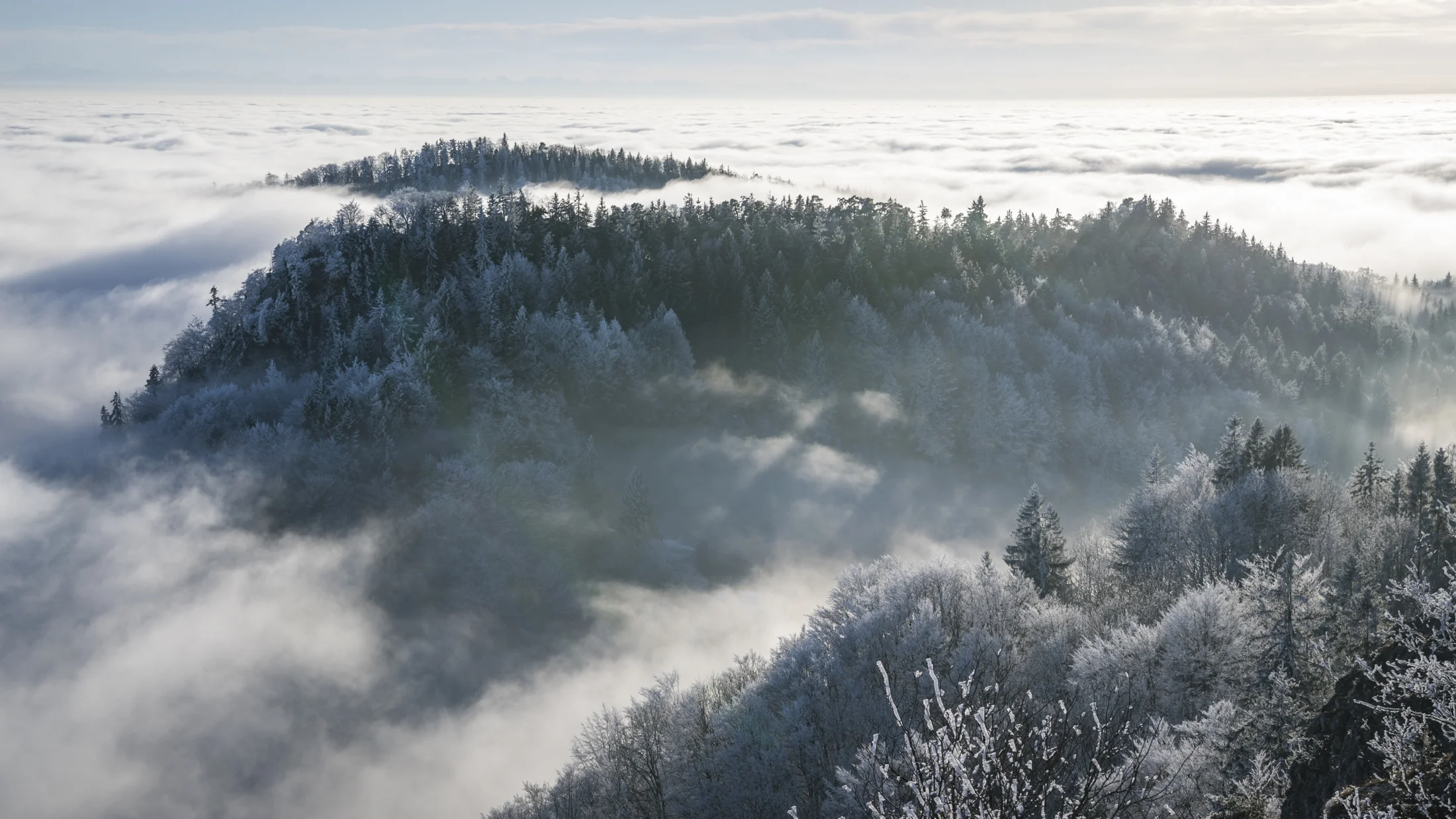 Islands in the fog