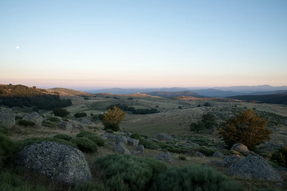 pellequer 2016 - 0554.jpg