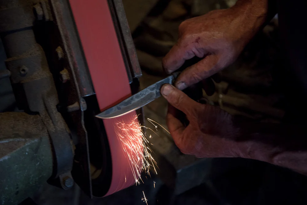 pellequer 2016 - 0220.jpg