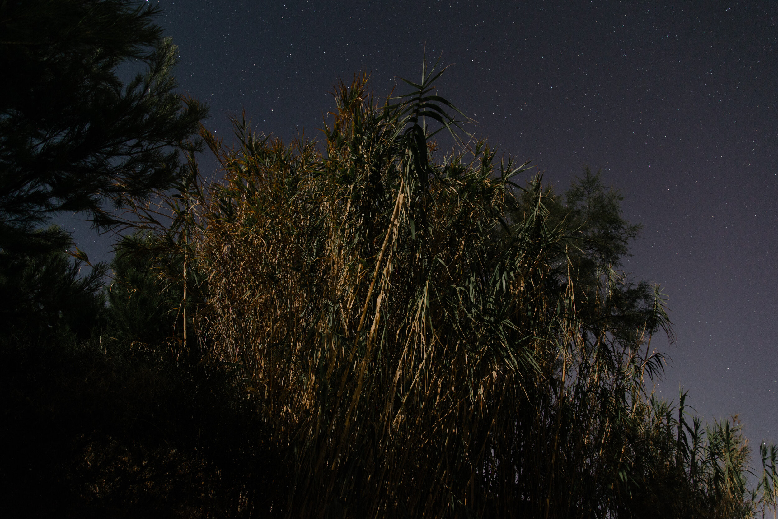 embiez paysage de nuit - 125.jpg