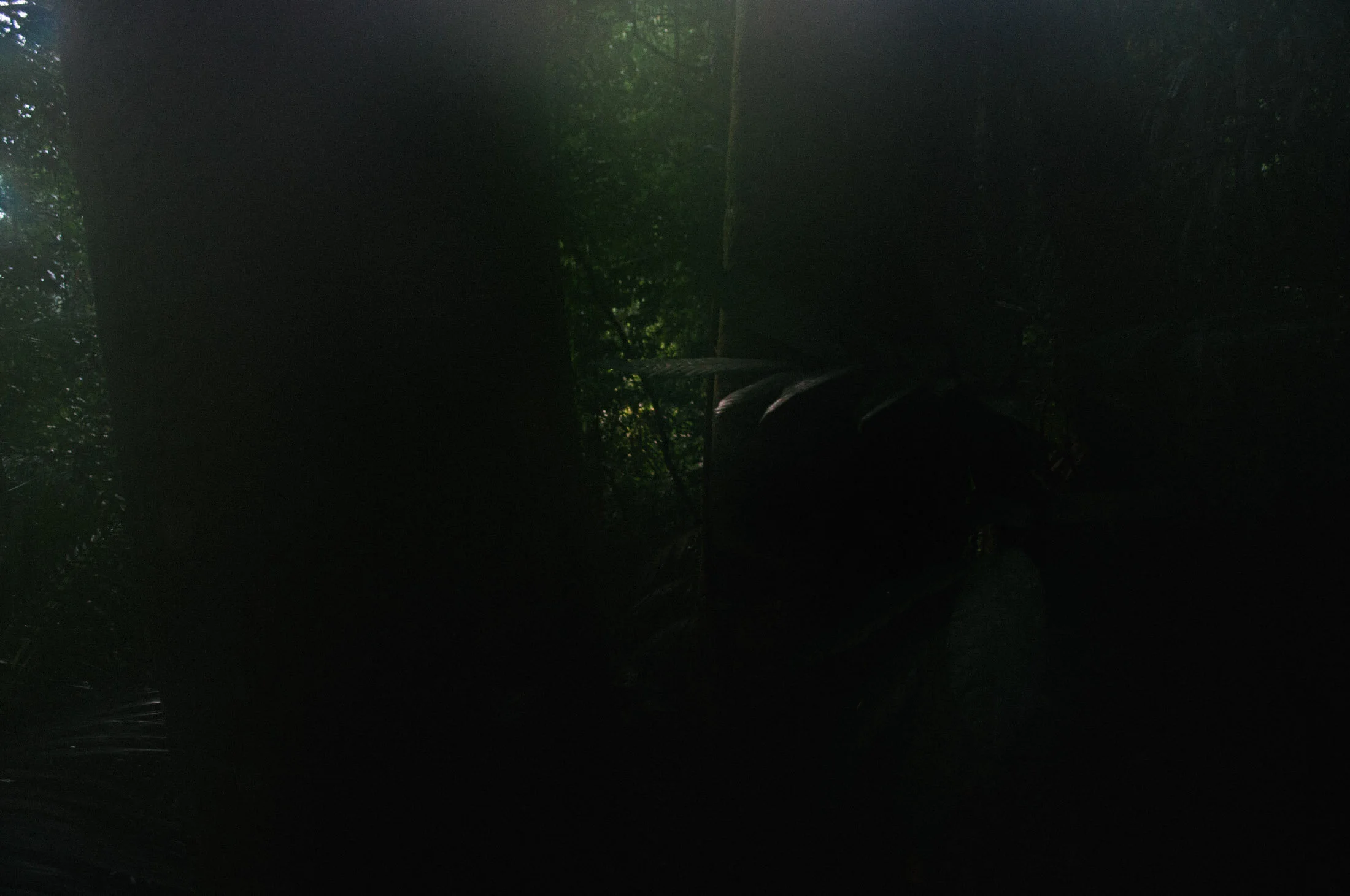 08-observation forest 1 066-web08.jpg